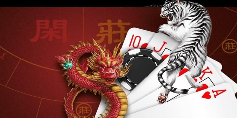 Chiến thuật quản lý vốn thông minh khi chơi Rồng Hổ tại KUBET