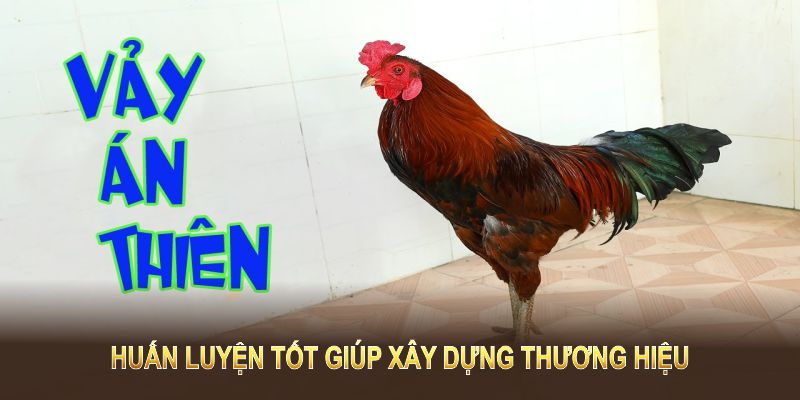 Huấn luyện tốt giúp xây dựng thương hiệu và gặt hái thành công dài lâu